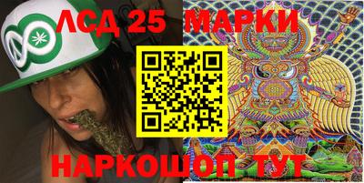 стаф Будённовск