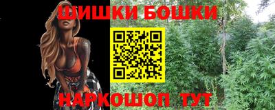 стаф Будённовск